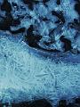 DSCF0007 (3)